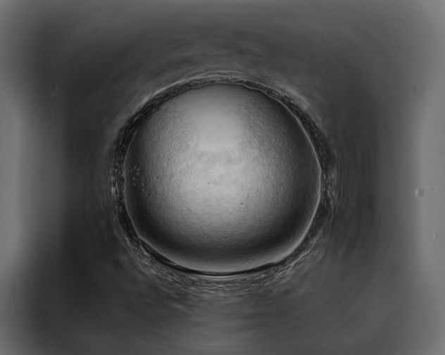 X0000088491496200705221416