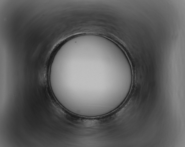 X0000088491498200705221416