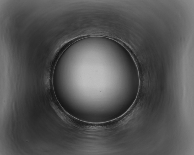 X0000088491499200705221416