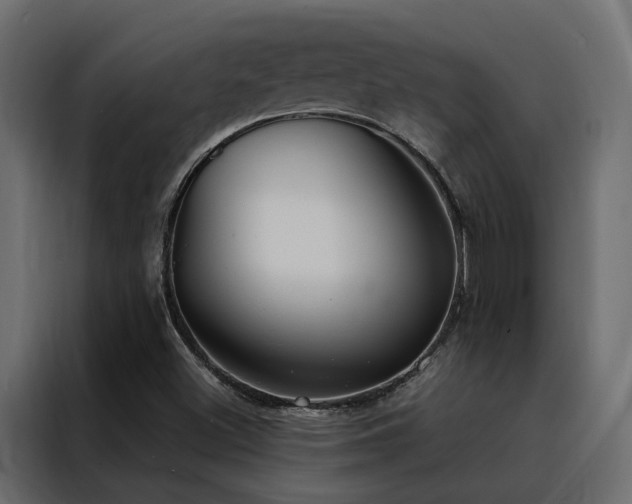 X0000088491500200705221416