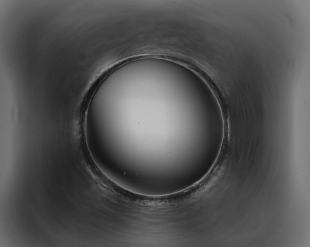 X0000088491501200705221416