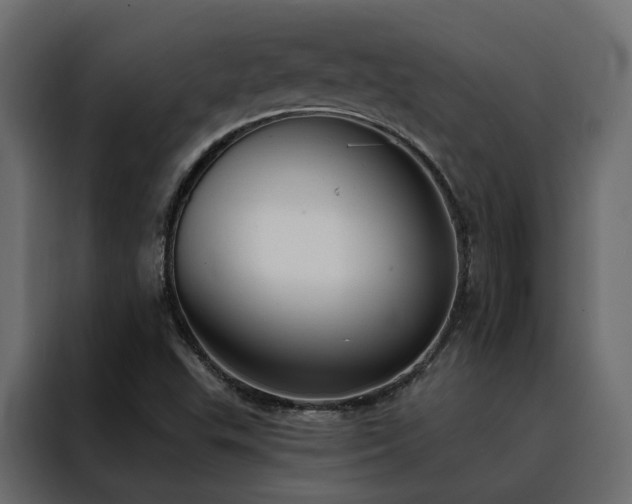 X0000088491503200705221416