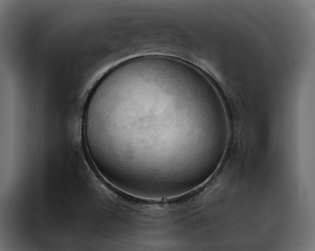 X0000088491504200705221416