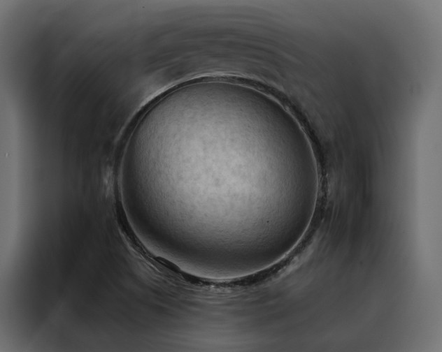 X0000088491505200705221416