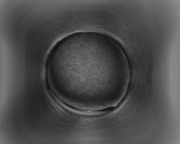 X0000088491506200705221416