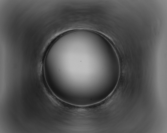 X0000088491507200705221416