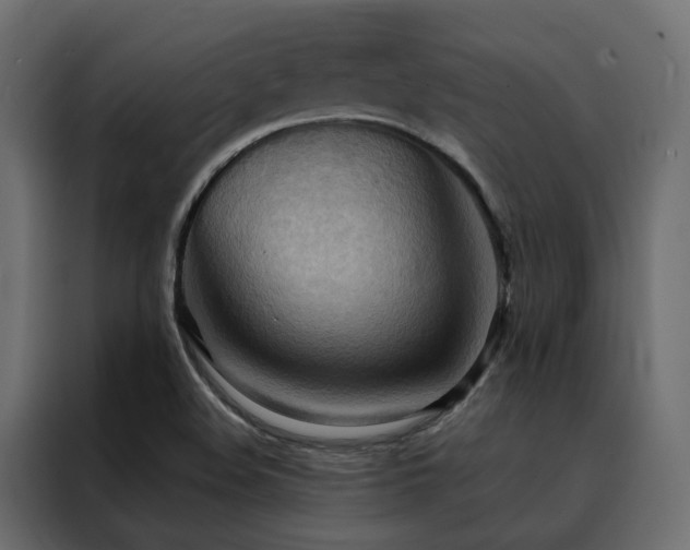 X0000088491508200705221416