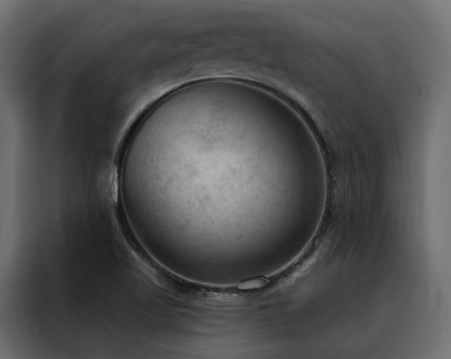 X0000088491509200705221416