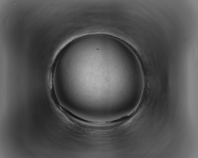 X0000088491510200705221416