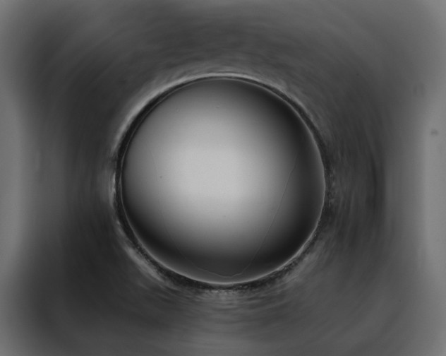 X0000088491511200705221416
