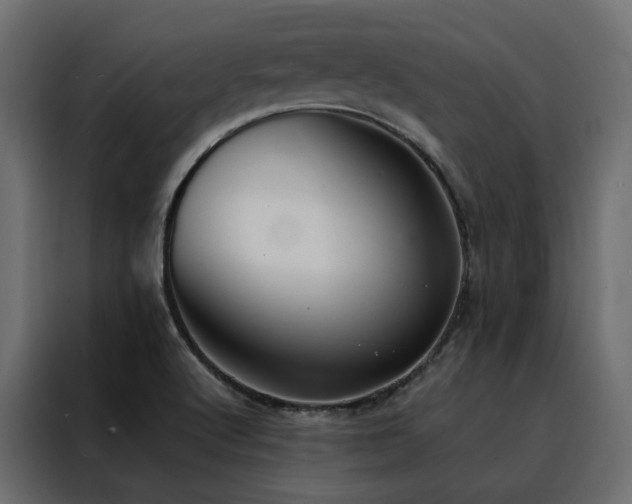 X0000088491512200705221416