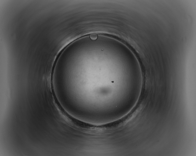X0000088491513200705221416