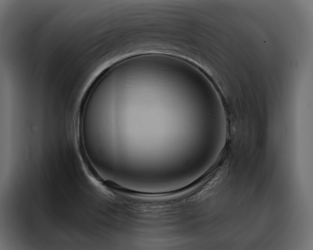 X0000088491515200705221416