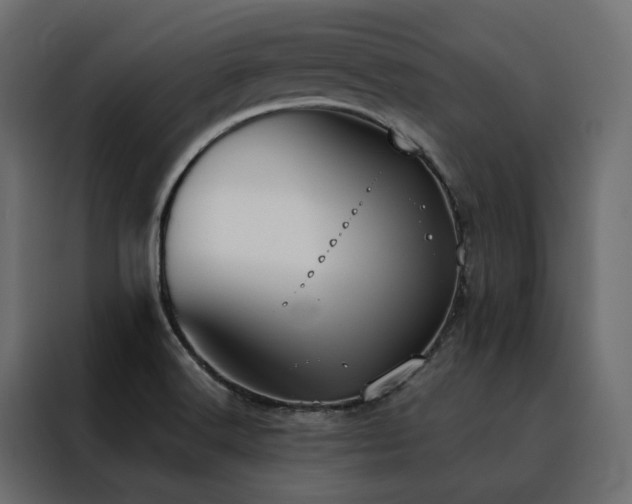 X0000088491516200705221416
