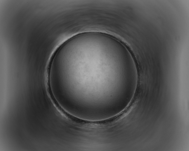 X0000088491517200705221416