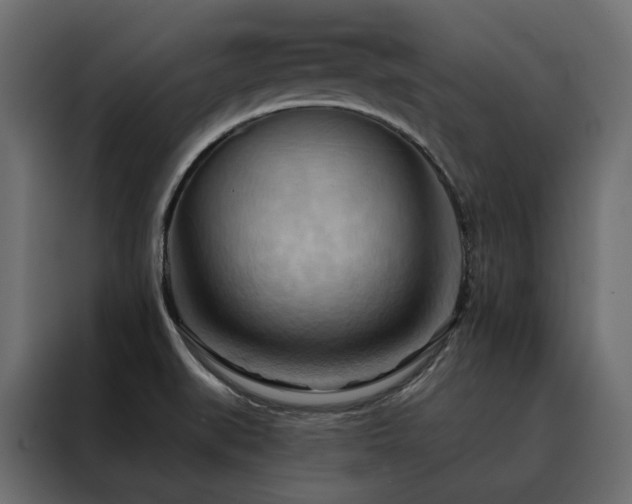 X0000088491519200705221416