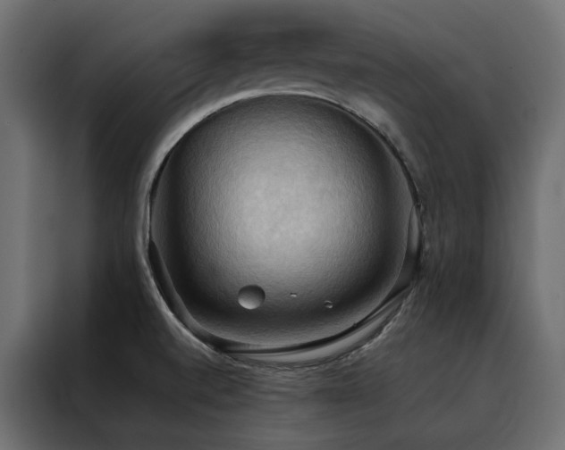 X0000088491520200705221417