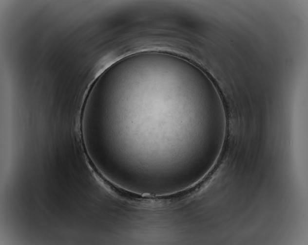 X0000088491521200705221417