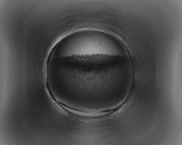X0000088491522200705221417