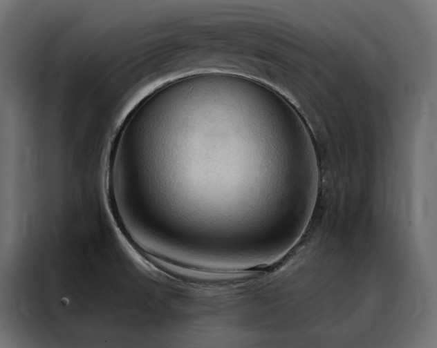 X0000088491523200705221417