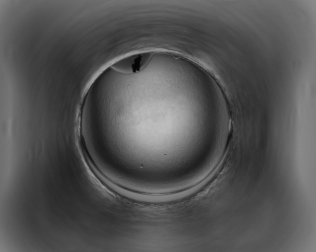 X0000088491524200705221417