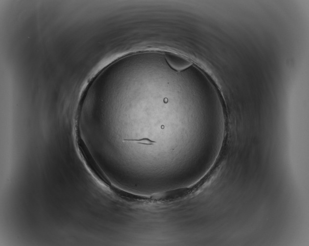 X0000088491525200705221417