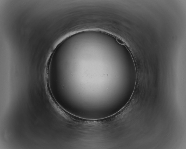 X0000088491526200705221417