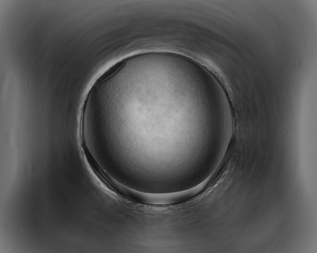 X0000088491528200705221417