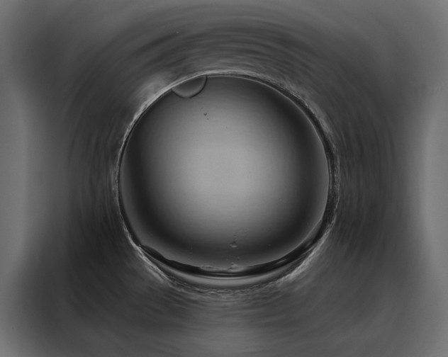 X0000088491529200705221417