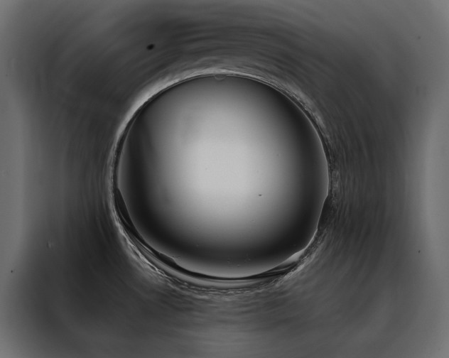 X0000088491530200705221417