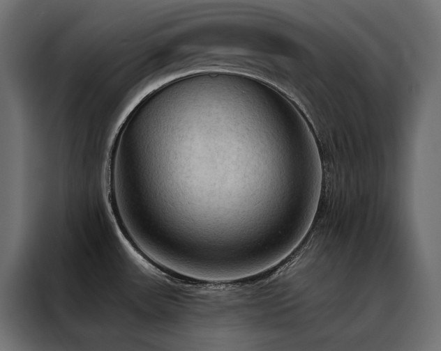 X0000088491531200705221417