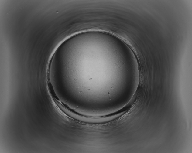 X0000088491532200705221417