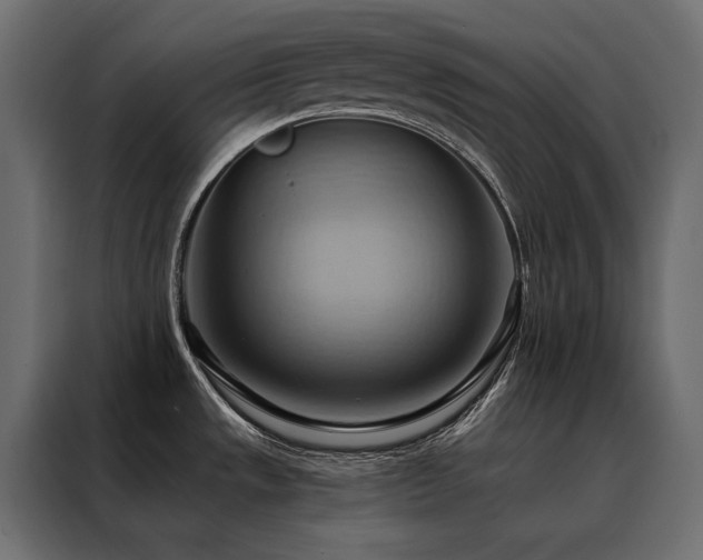 X0000088491533200705221417
