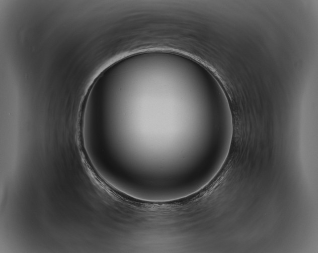 X0000088491534200705221417