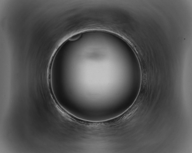 X0000088491535200705221417
