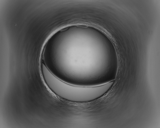 X0000088491536200705221417
