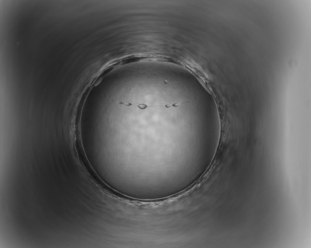 X0000088490002200705291657