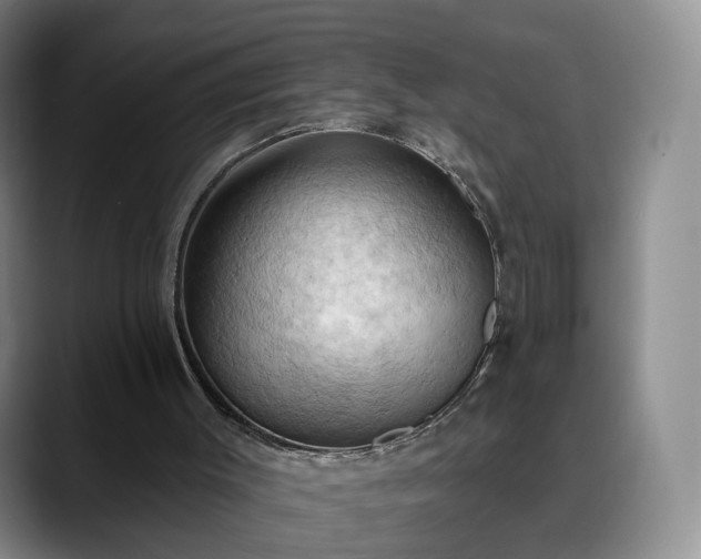 X0000088490003200705291657