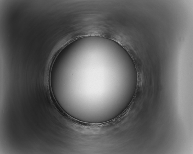 X0000088490004200705291657