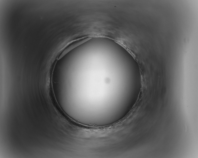 X0000088490005200705291657