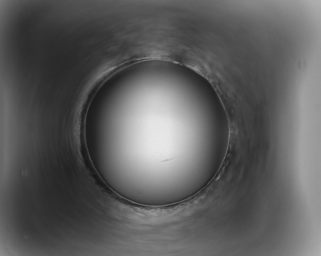 X0000088490006200705291657