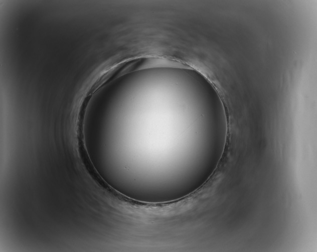 X0000088490007200705291657