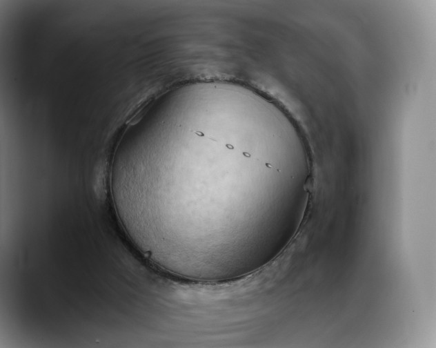 X0000088490009200705291657