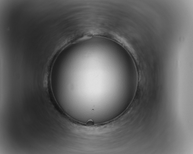 X0000088490010200705291657