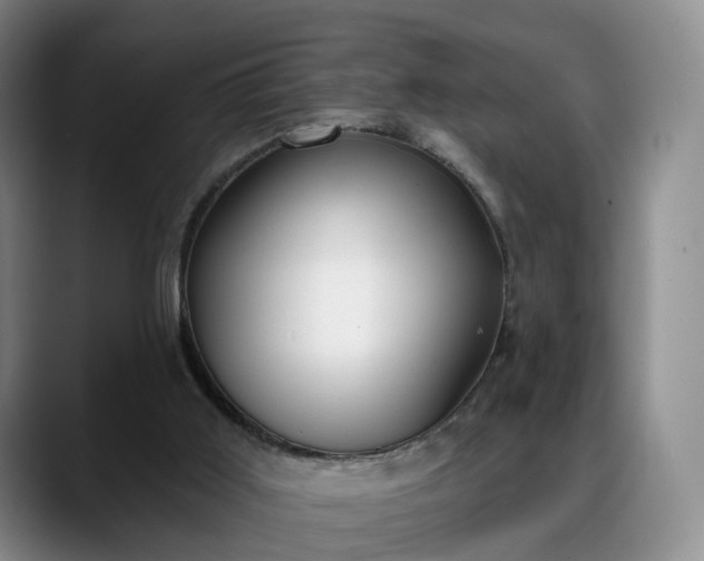 X0000088490011200705291657