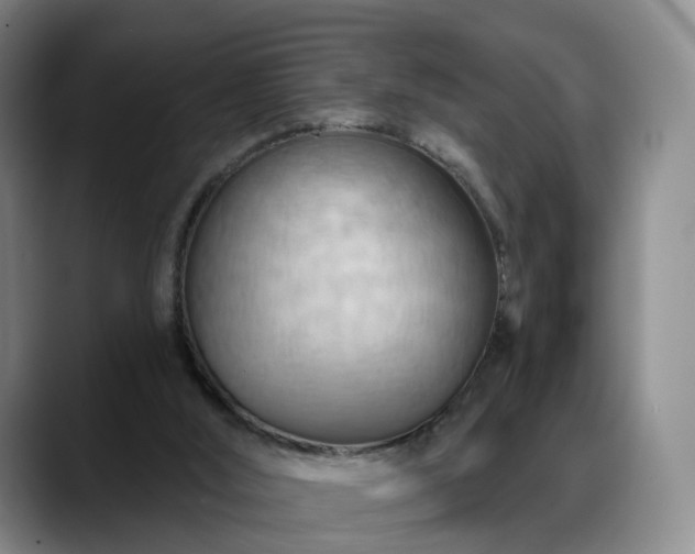 X0000088490012200705291657
