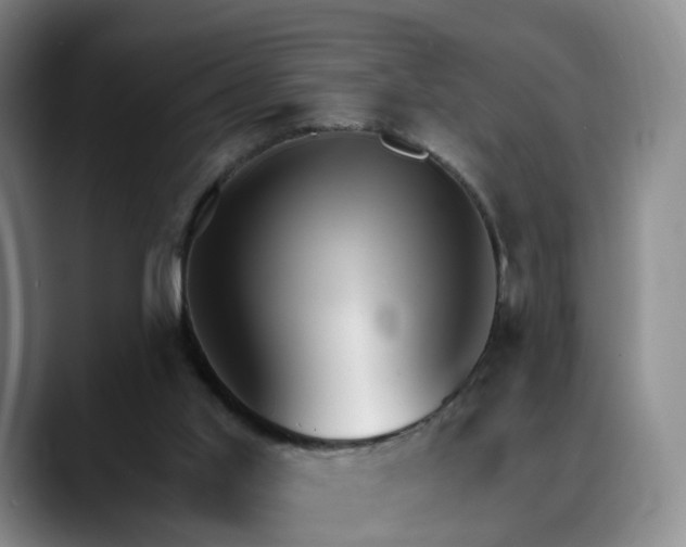 X0000088490013200705291657