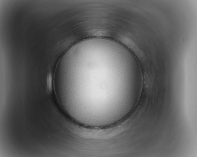 X0000088490014200705291657