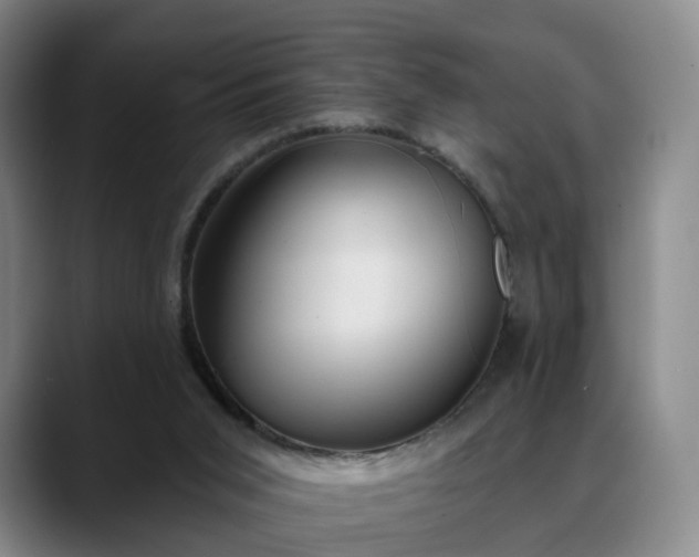 X0000088490015200705291657