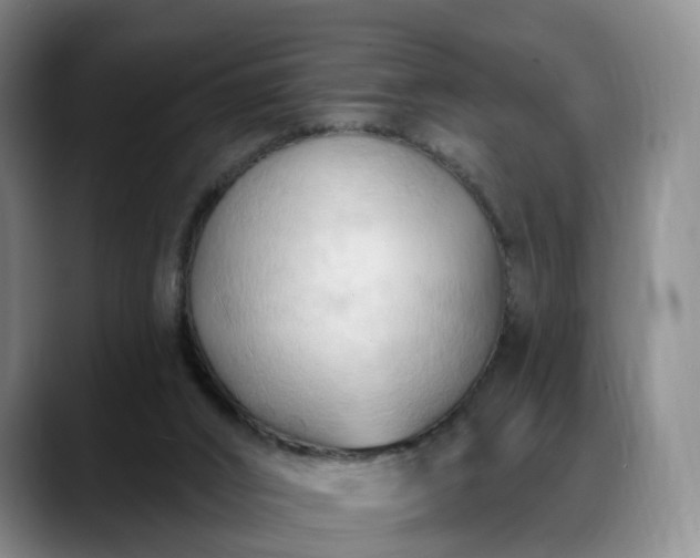 X0000088490016200705291657